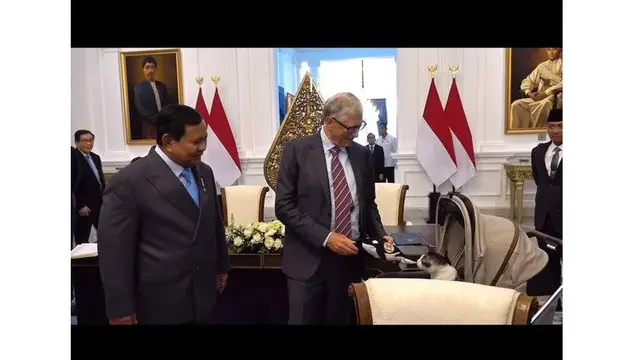 Bill Gates Temui Kucing Kesayangan Prabowo & Bobby: Momen Langka! Bill Gates Temui Kucing Kesayangan Prabowo & Bobby: Momen Langka!