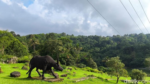 Jelajahi Kebun Raya Kuningan: Surga Hijau Rebana Metropolitan Jelajahi Kebun Raya Kuningan: Surga Hijau Rebana Metropolitan