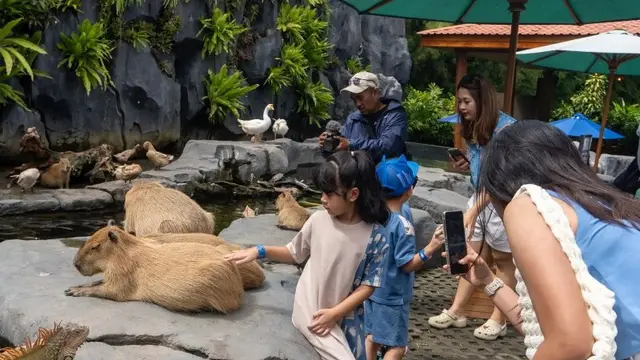 Libur_Sekolah_Ramaikan_Bali_Safari_Petualangan_Aman__Nyaman_Terjamin Libur Sekolah Ramaikan Bali Safari: Petualangan Aman & Nyaman Terjamin
