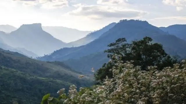 Misteri Gunung Abadi Phou Louey Laos: 6 Fakta Menakjubkan