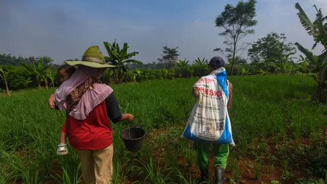 Pangkas 145 Regulasi Pertanian: Ekonomi Indonesia Terdongkrak?